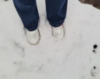 Des cris et des pleurs