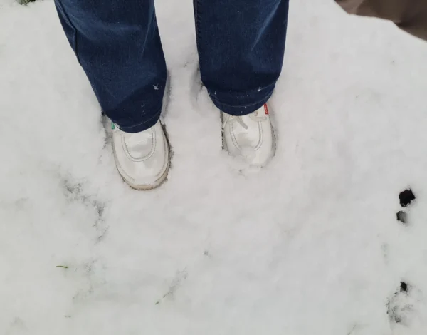 Des cris et des pleurs