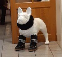 Rhume de l’hypocondriaque