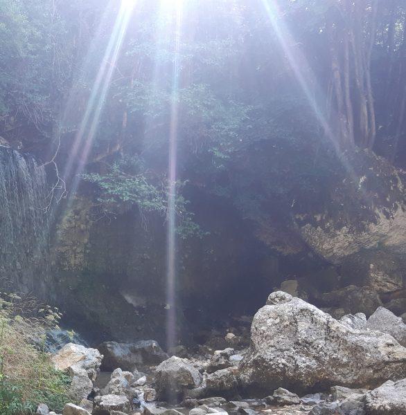 La Colombine du soleil